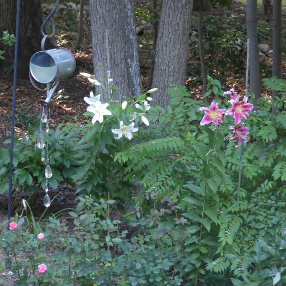 amgardener